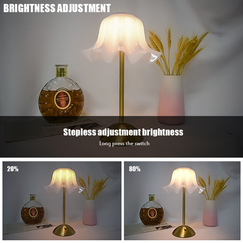 Modern LED Table Lamp, Dimmabl - Bedroom Lighting Decor Ideas ulasan dan harga
