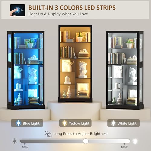 71” Glass Display Cabinet with - Lighting & Home Decor Studio ulasan dan harga